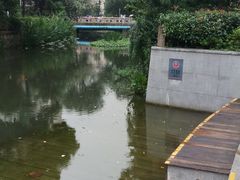 -兰溪青年公园
