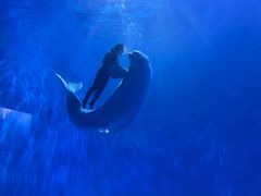 -多彩贵州城极地海洋世界