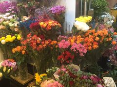-双季花艺园艺市场(浦东店)