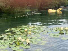 -西湖外事游船(湖滨二公园外事游船码头)