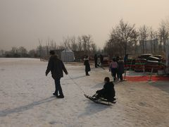 -绿野森林乐园冰雪季