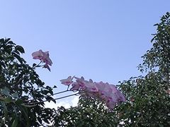 -海南文笔峰盘古文化旅游区
