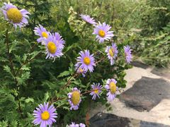 -白草畔自然风景区