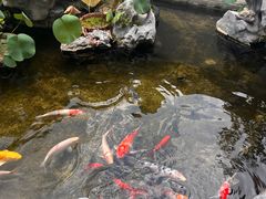 -道南書院·私房菜·早午茶·茶馆