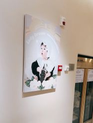 -小阿福儿童摄影(光谷时代广场店)