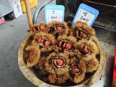-西归浦每天偶来市场
