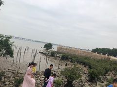 -宝安西湾红树林湿地公园