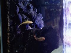 -三个大叔东北烧烤·砂锅菜(西三旗店)