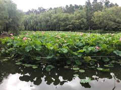 -月牙潭公园