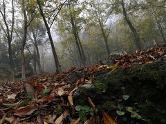 -藏龙百瀑风景区