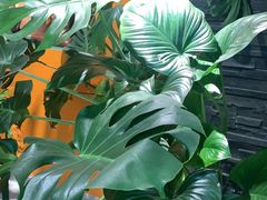 -泰古龙抓龙筋·spa按摩(静安店)