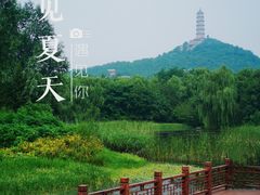 -北坞公园