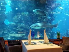 -迪拜帆船酒店海底餐厅