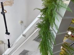 -嘉和一品粥(方庄店)