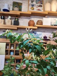 -今日陶艺(富力广场店)