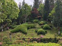 -全国青少年井冈山革命传统教育基地