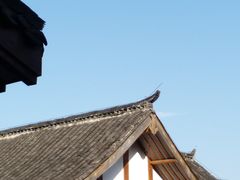 -常德桃花源景区