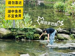 -重庆彩云湖湿地公园