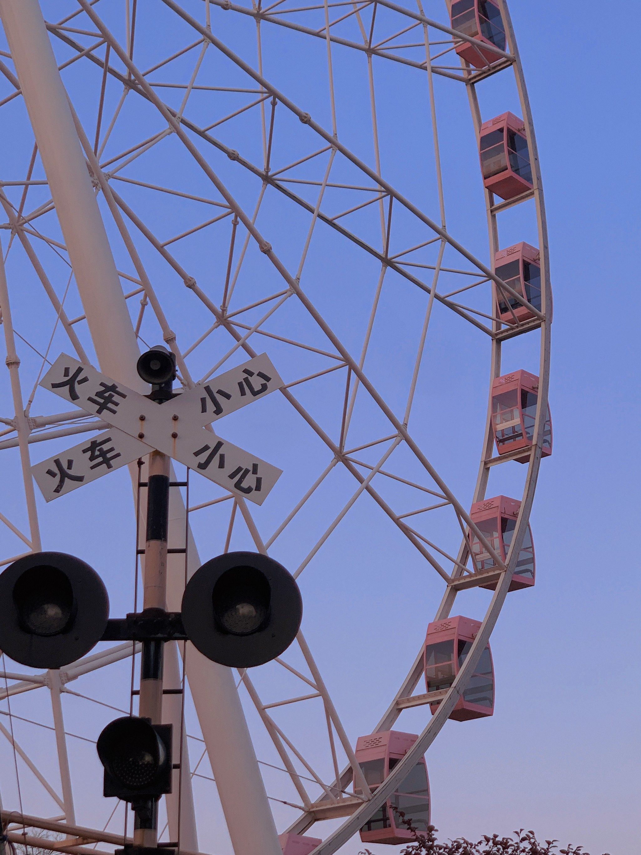 上海顾村公园有粉色摩天轮|春天限时浪漫95