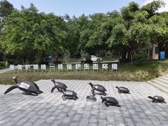 -广东惠东海龟国家级自然保护区