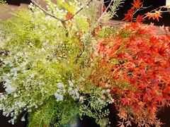 -秀儿四九城·新京菜(亚运村鸟巢店)