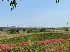 -光明小镇欢乐田园