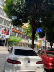 点击看大图 -半岛时尚造型
