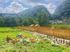 -高荡千年布依古寨旅游景区