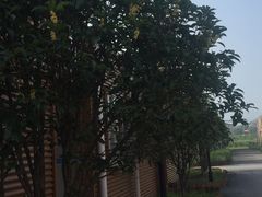-米果果小镇