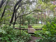 -黑龙江省森林植物园