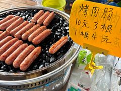 -西双版纳傣族园