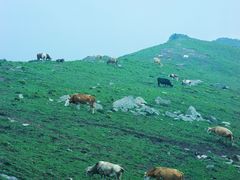 -灵山