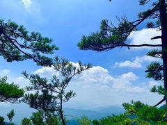 -洛阳白云山景区