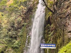 -莫里热带雨林景区