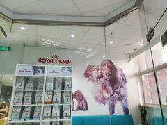 -瑞派申生动物医院·24H夜诊·国际动物医疗中心·骨外科(吴中路店)