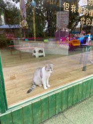 -萌宠亲子动物乐园(槐房万达店)