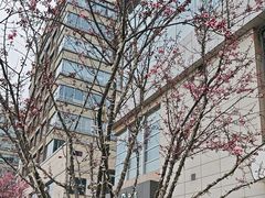 -中粮·祥云小镇