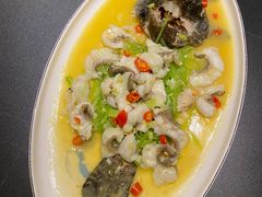 豆酱煮老虎斑-毗陵醉·黑钻(湖塘店)
