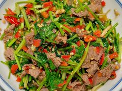 香菜炒牛肉-壹盏灯(蚂蚁工房店)