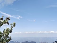 -秦岭天竺山生态文化旅游景区