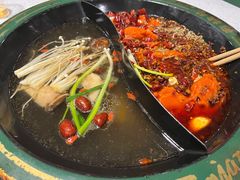 菌汤鸳鸯锅-有拈头成都市井火锅(南山总店)