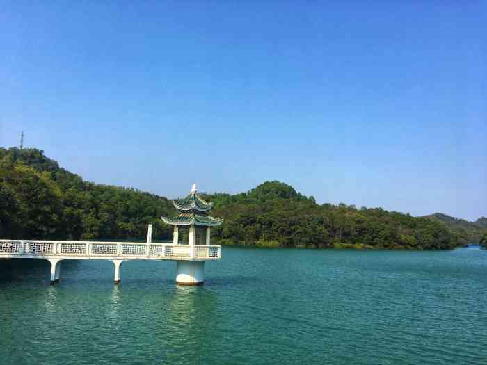 石花山公园-"每次回台山都会来溜达一下呼吸新鲜空气台.
