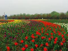 -兰陵国家农业公园