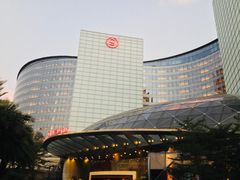 -深圳东部华侨城茵特拉根酒店