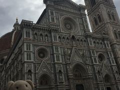 -圣母百花大教堂穹顶