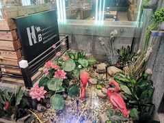 -河坝강뚝烧烤专门店(旗舰店)