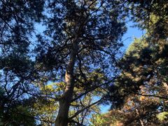 -长春市南湖公园