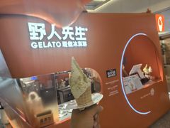 -野人先生现做冰淇淋(北京王府井东方新天地店)