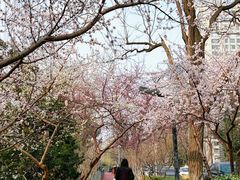 -安定门(地铁站)