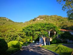 -厦门国家会计学院